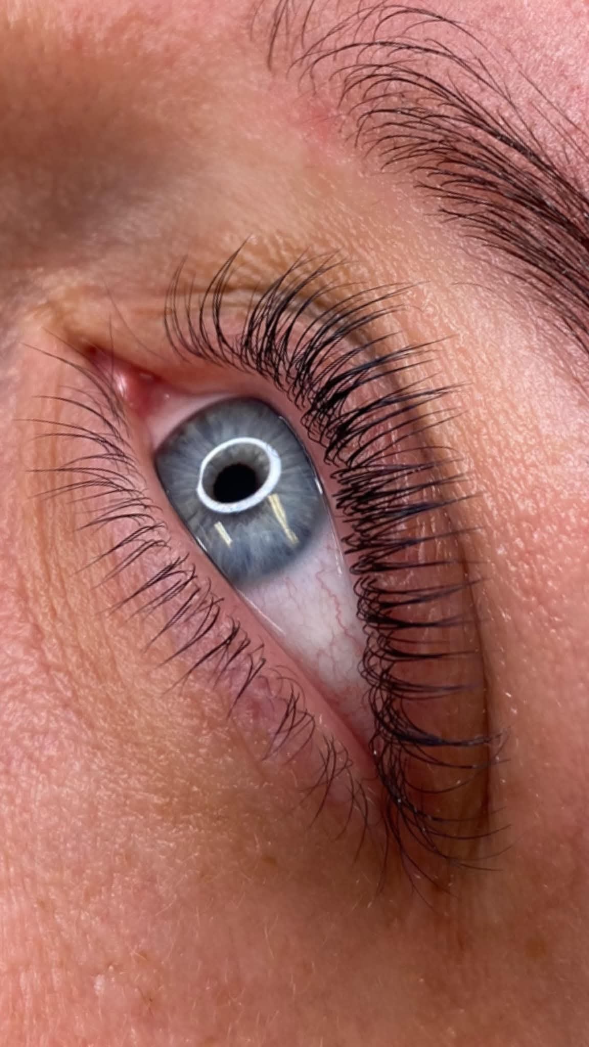 Fullstendig vippe- og brynsstylist kurs